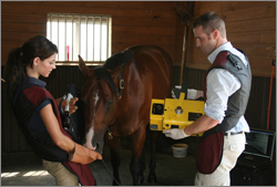 East Coast Equine Veterinary Service, LLC.