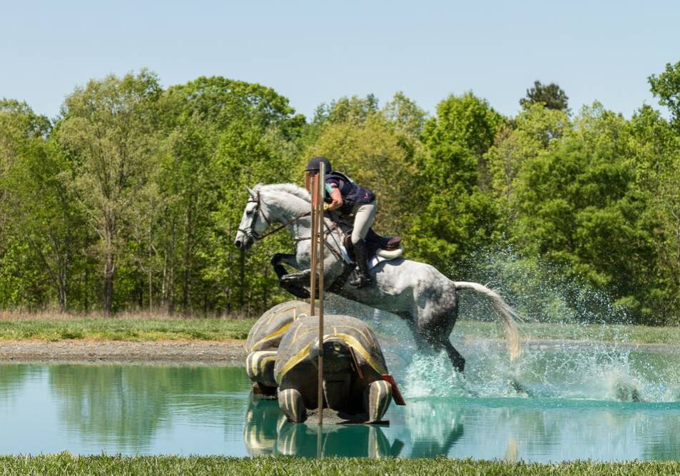 East Coast Equine Veterinary Service, LLC